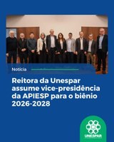 Vice Presidência APIESPI.jpeg