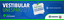 5bfdc815-8ba3-47fe-8d25-8c2a16166778.png